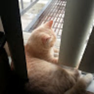 Meet your Posher, Jacob